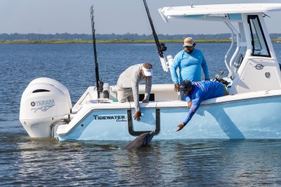 Tidewater Boats 2026 CC