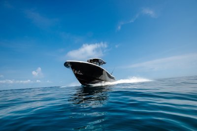 Tidewater Boats 2026 BW